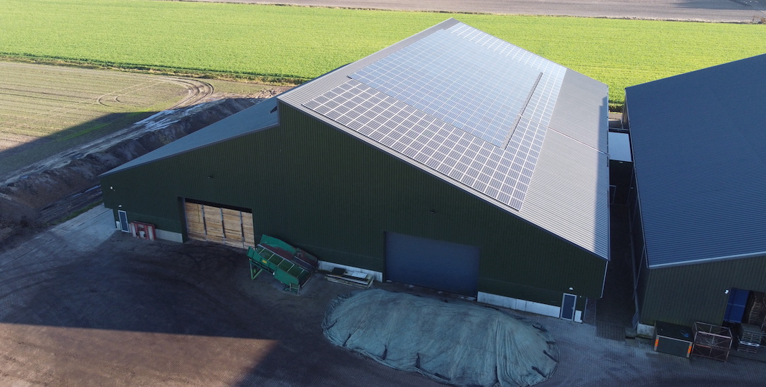 Casco gebouwde stallen met zonnepanelen, daglicht en luchtbehandeling-systeem